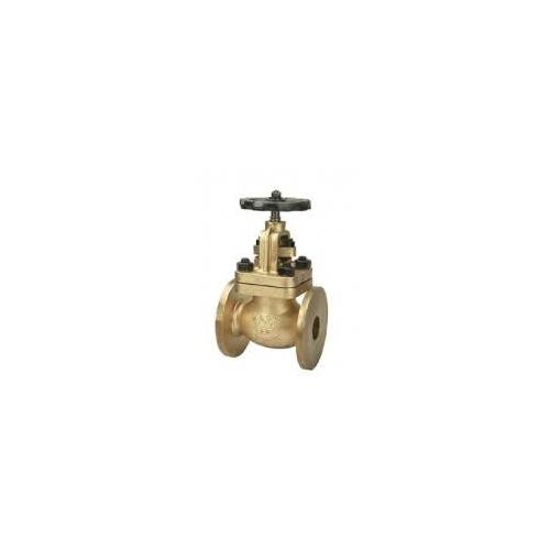 Sant Bronze Globe Steam Stop Valve Renewable Disc 25 mm, IBR 2B